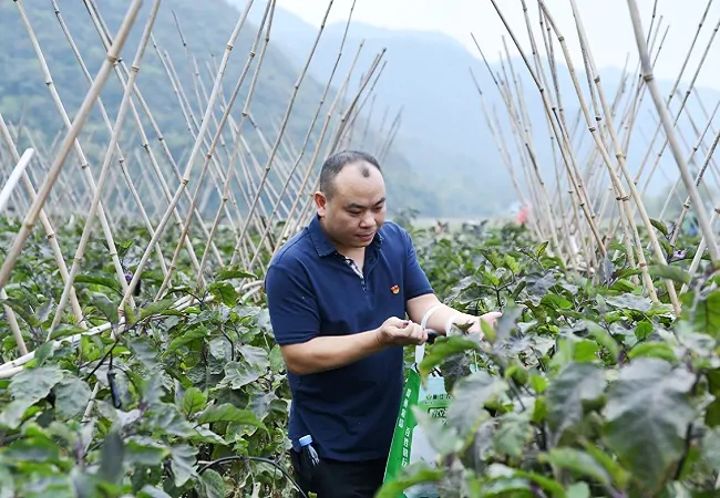 采摘现场 (5)1.JPG