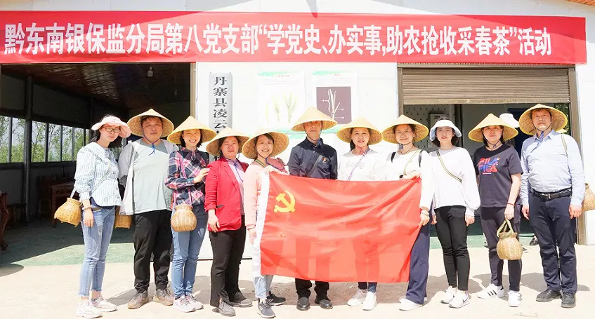 采茶助农正当时！主题党日活动开到&ldquo;田间地头&rdquo;