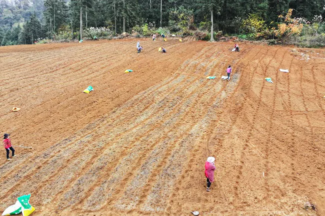 施秉农信联社：浇灌&ldquo;金融活水&rdquo; &ldquo;贷&rdquo;动乡村振兴