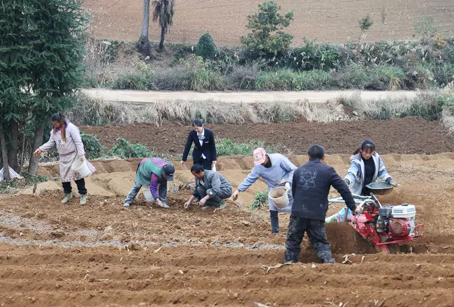 （图为 施秉农信联社工作人员走访药农）.png