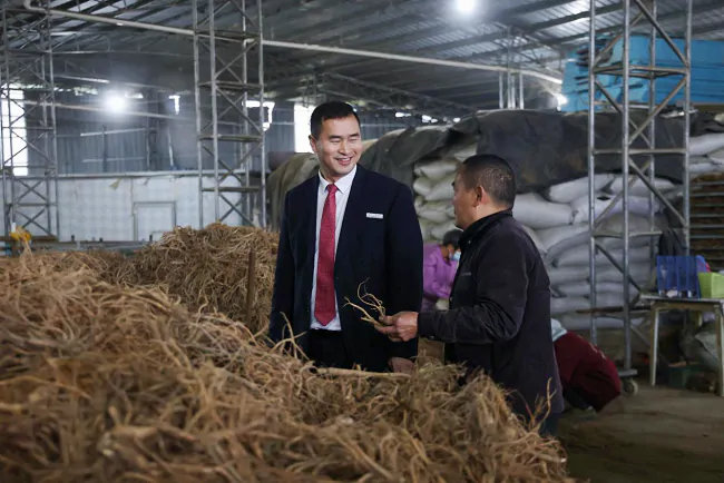 （图为 了解中药材加工企业资金需求）.png