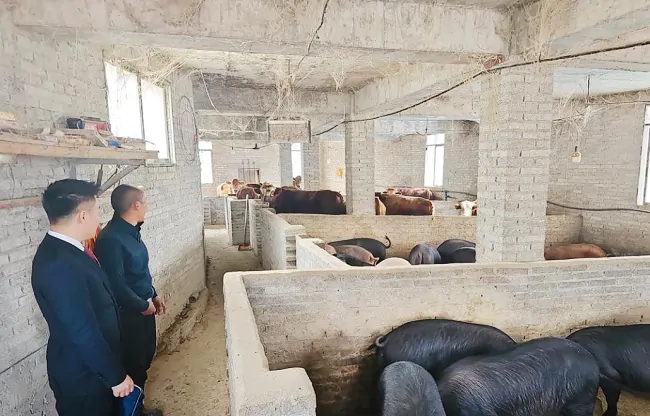 丹寨农商银行：&ldquo;迎春贷&rdquo;助力养殖户温暖过冬