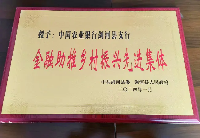 农业银行剑河县支行荣获剑河县&ldquo;金融助推乡村振兴先进集体&rdquo;称号
