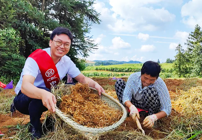 工商银行凯里分行：擦亮普惠金融的为民底色