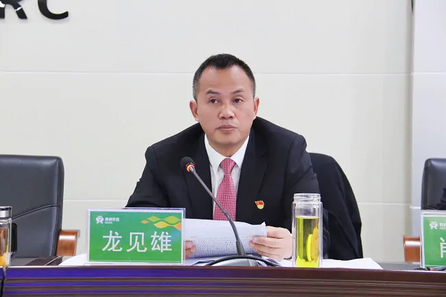 图为：龙见雄主持会议.jpg