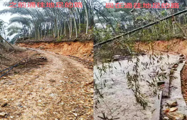 (图为:通往地足村公路的对比图).png