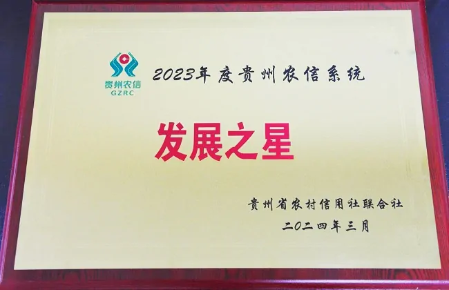 图为：“2023年度贵州农信系统发展之星”奖牌.jpg