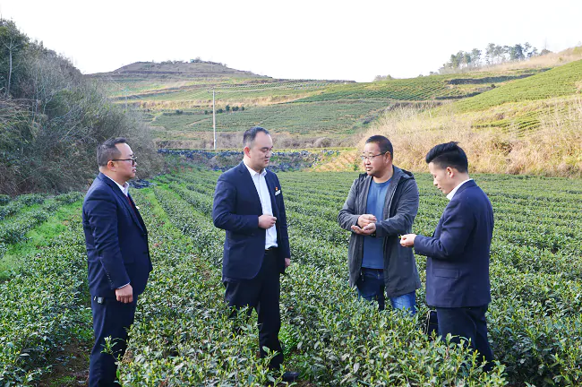 （图为：工作人员了解茶叶种植情况）.png