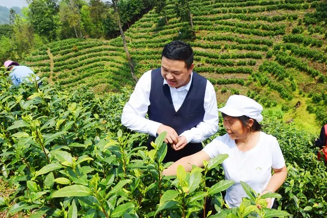 剑河农商银行：金融春雨润三农  不误农时不负春
