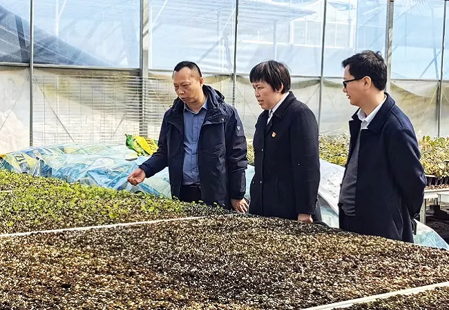 图为：加强银企对接 及时提供金融服务.jpg