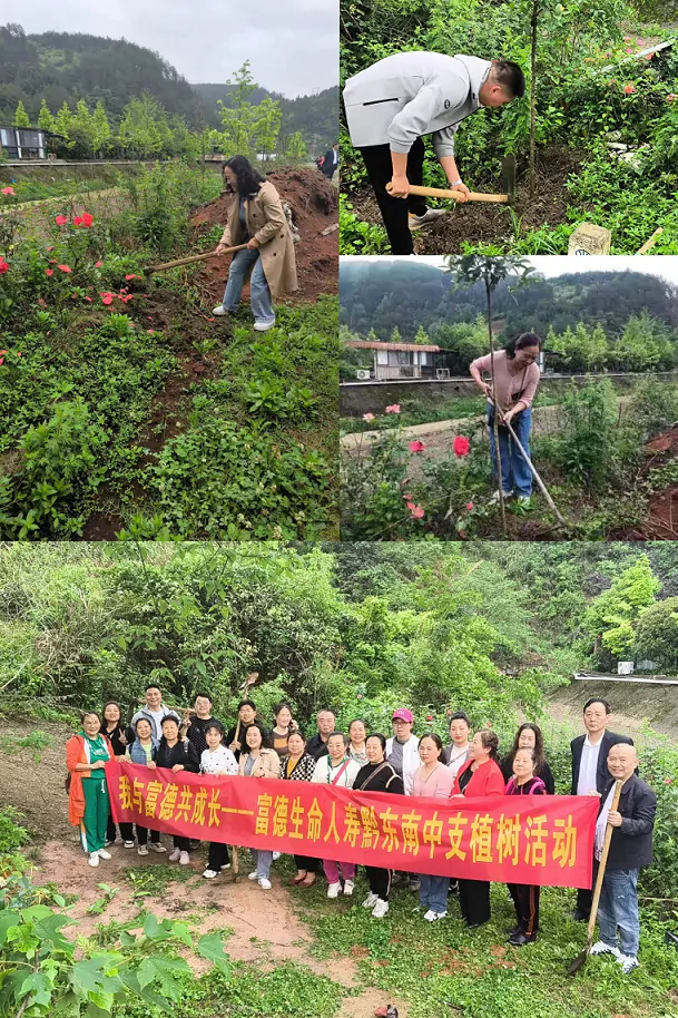富德生命人寿黔东南中支开展植树活动