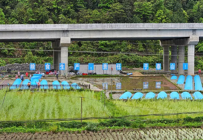 榕江农信联社：金融活水化春雨，灌溉春耕幸福田