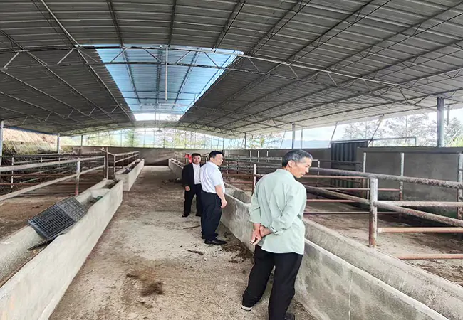 （图为：信贷员到现场查看牛圈建设情况）.png
