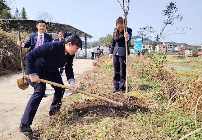 （图为：植树活动现场）1.png