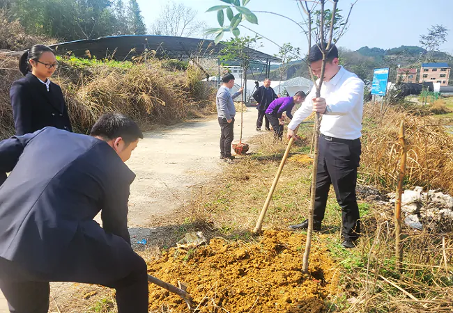 （图为：植树活动现场）3.png