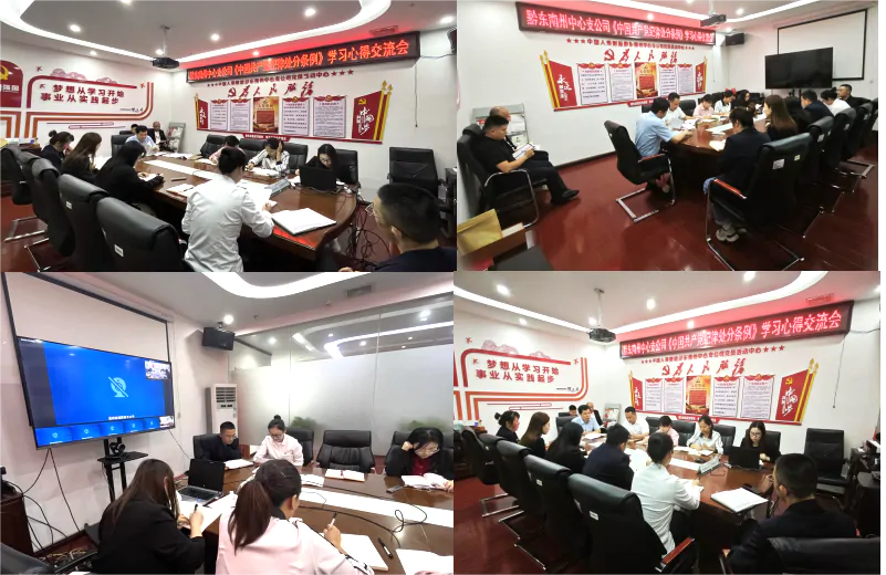 正心促廉&nbsp;守牢底线&mdash;&mdash;国寿财险黔东南中支召开党纪学习教育交流会