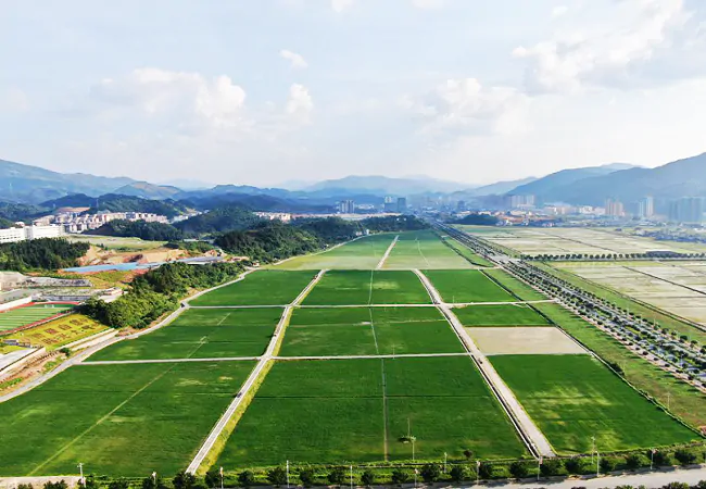 农发行黔东南州分行：守护&ldquo;三农&rdquo;有&ldquo;粮方&rdquo;