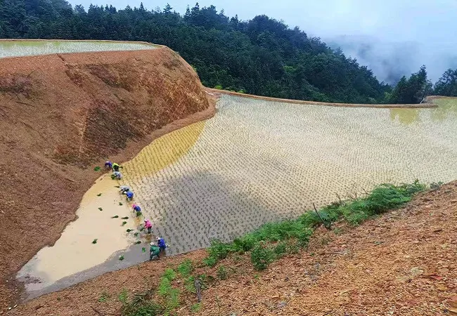 农发行雷山县支行聚焦&ldquo;三农&rdquo;，走好政策性金融助推全面乡村振兴的赶考路