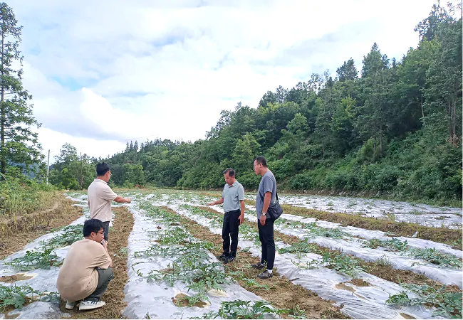 台江县施洞镇政府与农村信用社共推乡村振兴&ldquo;一村一品&rdquo;
