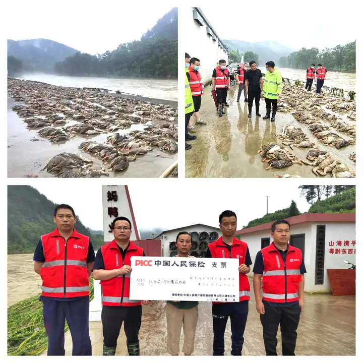 早上报案 晚上赔款 人保财险黔东南分公司支付首笔&ldquo;6&middot;29特大暴雨灾害&rdquo;