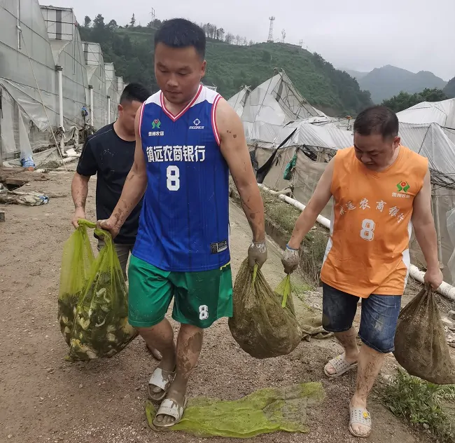 助力灾后重建，镇远农商银行在行动！