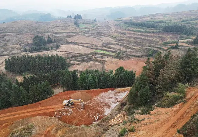 深耕三农沃土 后植为民情怀