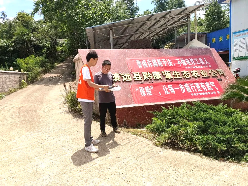 平安财险黔东南中支组织开展全民反诈宣传活动