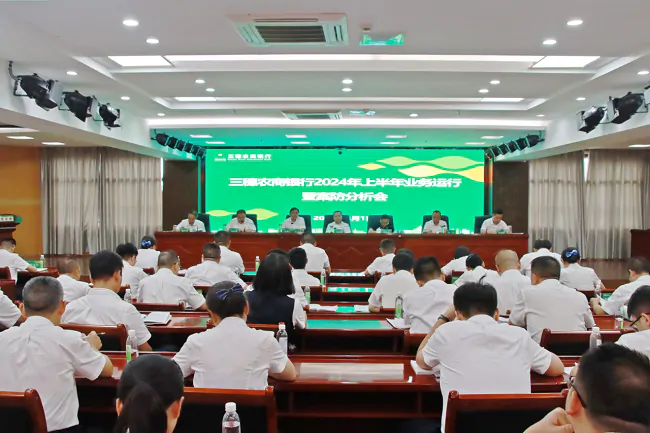 三穗农商银行召开2024年上半年业务运行暨案防分析会