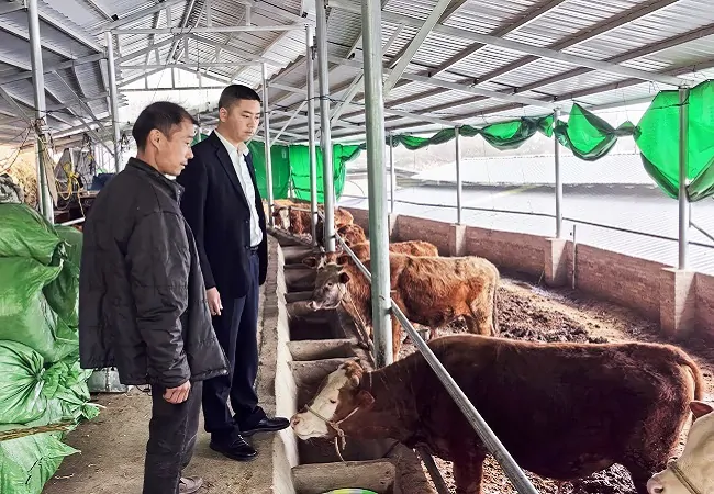 线上贷款助力产业发展跑出&ldquo;金融加速度&rdquo;