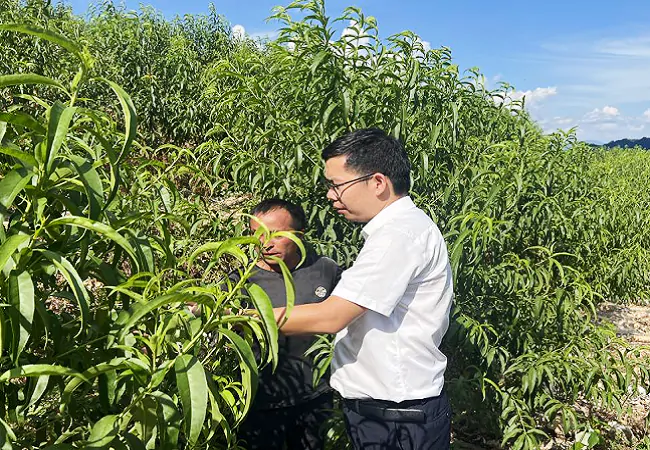 台江富民村镇银行金融&ldquo;活水&rdquo;精准&ldquo;灌溉&rdquo;农民致富梦