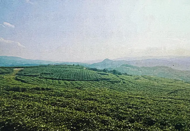 农发行从江县支行再投5000万元支持地方特色产业发展