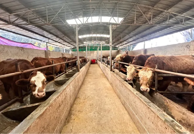 农行黔东南分行普惠金融贷款存量增量居&ldquo;四大行&rdquo;第一