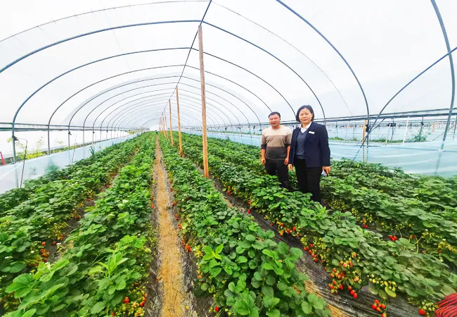 黄平农商银行巧出&ldquo;实招&rdquo;，服务实体经济发展有成效