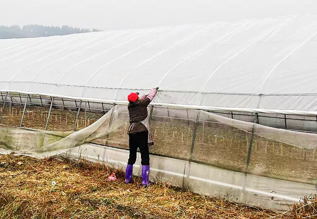 邮储银行天柱县支行：金融&ldquo;及时雨&rdquo;助力春耕备耕