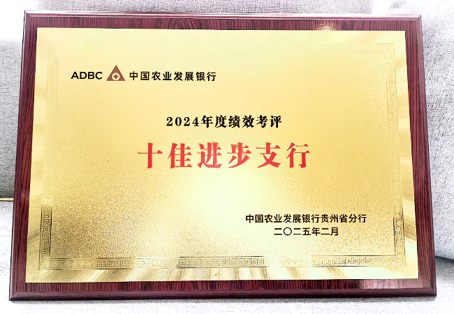 农发行从江县支行：蝉联&ldquo;十佳进步支行&rdquo;殊荣 谱写金融支农新篇章