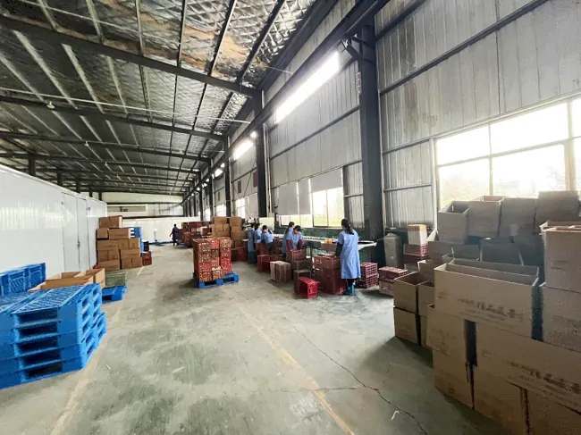 金融活水降&ldquo;鸭&rdquo;力 助企纾困减负&ldquo;蛋&rdquo;