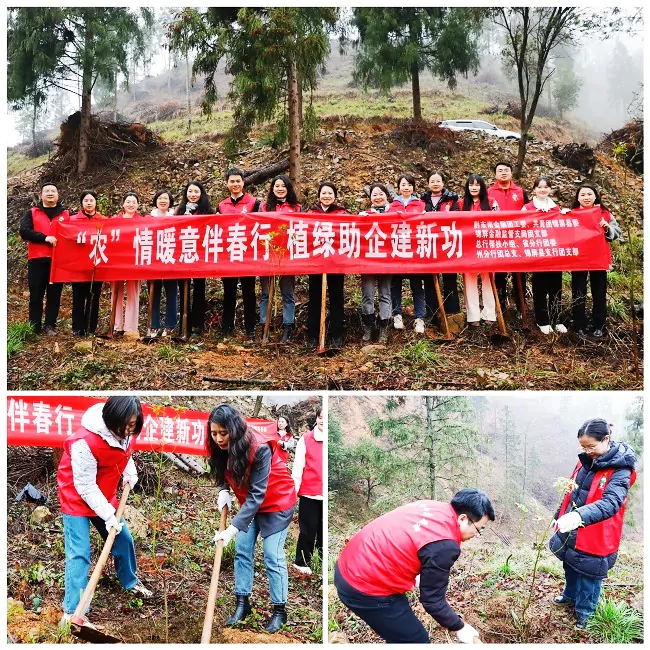 学雷锋 助三农 青年聚力促振兴