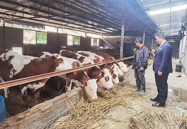 镇远农商银行：执金融之笔助力绘就乡村振兴新图景