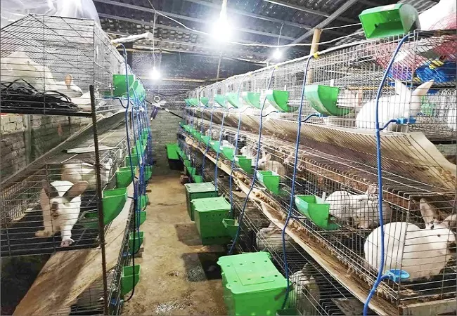 天柱农商银行：金融助民&ldquo;兔&rdquo;飞猛进