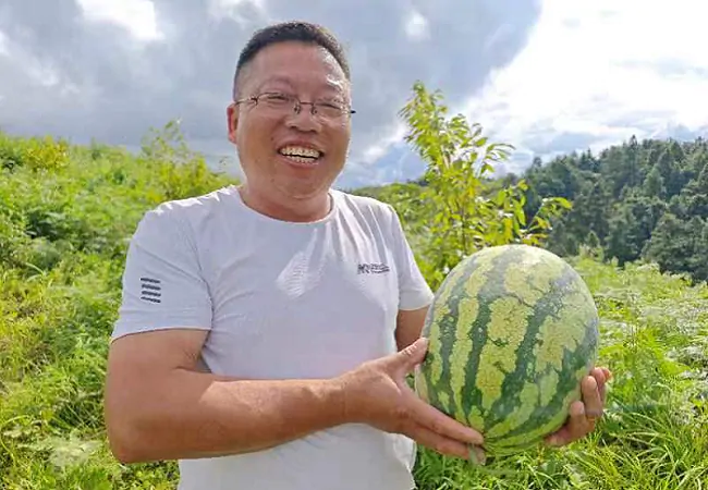 锦屏农信联社：金融活水润春耕   &ldquo;贷&rdquo;出来年好光景