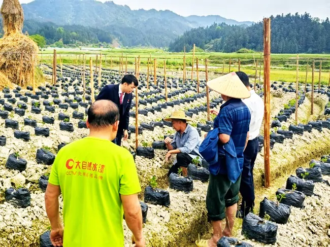 锦屏农信联社：金融赋能 助力春耕&ldquo;加速跑&rdquo;