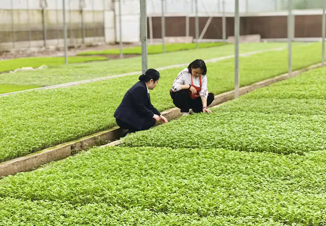 金融活水润沃土&nbsp;春耕画卷绽新颜