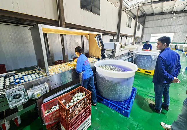 三穗农商银行为小微企业发展按下&ldquo;加速键&rdquo;