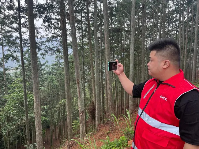 人保财险黔东南分公司成功落地黔东南州首单林业碳汇价值保险