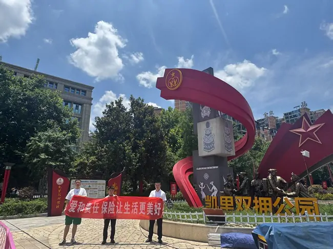 太平财险黔东南中支2025年&ldquo;7.8全国保险宣传日&rdquo;活动