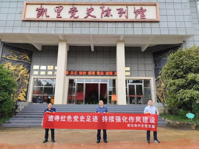 国元农险黔东南中支党支部开展主题党日活动