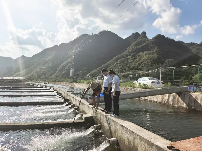金融赋能黔东南州鲟鱼&ldquo;游&rdquo;出国