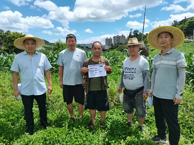 国元农险黔东南中支扎实开展秋季作物承保工作