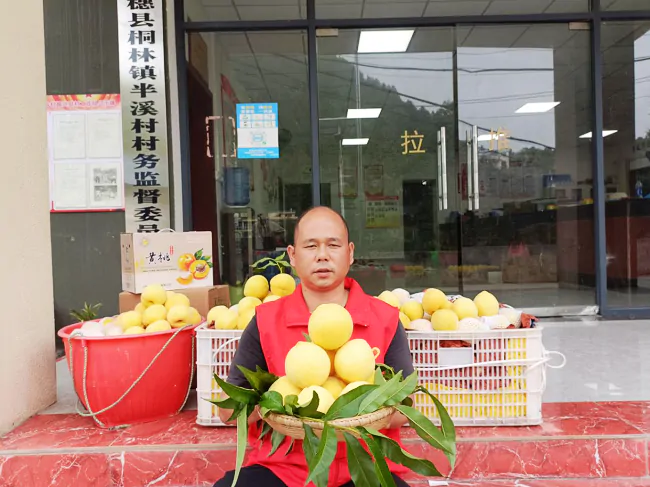 三穗农商银行：金融&ldquo;活水&rdquo;精准滴灌 助&ldquo;桃&rdquo;产业结出致富果