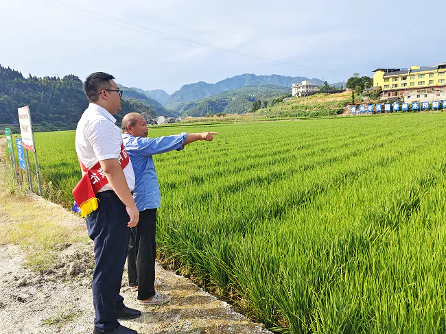 工行凯里分行：金融&ldquo;活水&rdquo;润黔土  绘就乡村振兴好&ldquo;丰&rdquo;景